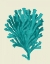 Picture of CORALS TURQUOISE ON CREAM D