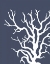 Picture of CORALS WHITE ON INDIGO BLUE A