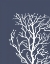 Picture of CORALS WHITE ON INDIGO BLUE C
