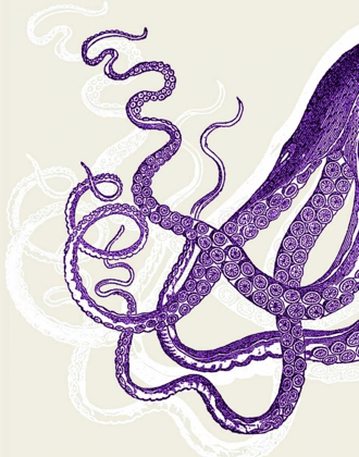 Picture of OCTOPUS TENTACLES PURPLE AND WHITE