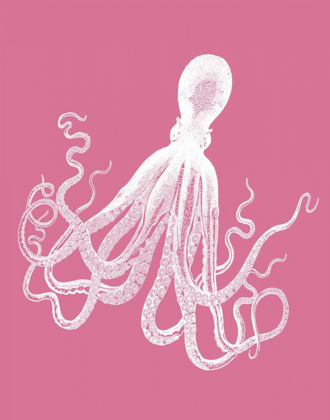 Picture of OCTOPUS 1 WHITE ON PINK