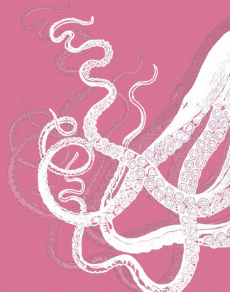 Picture of OCTOPUS TENTACLES WHITE ON PINK