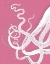 Picture of OCTOPUS TENTACLES WHITE ON PINK