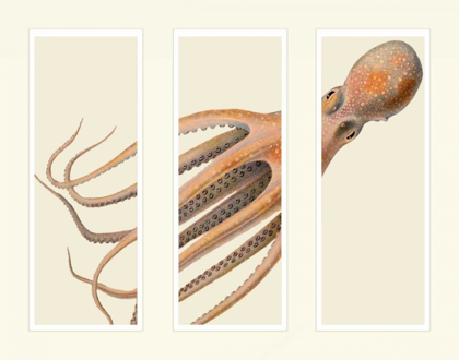 Picture of OCTOPUS ON 3 PANELS