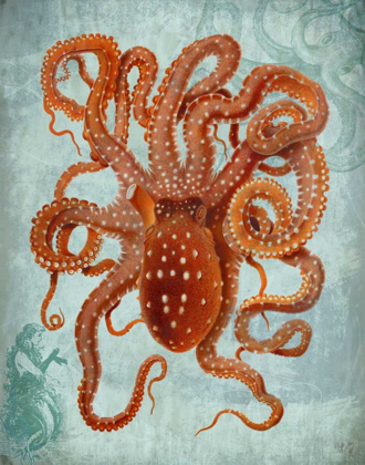 Picture of OCTOPUS 2