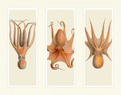 Picture of TRIO OF OCTOPUS ON 3 PANELS