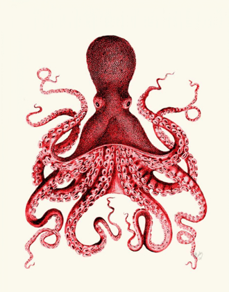 Picture of RED OCTOPUS 3