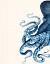 Picture of OCTOPUS NAVY BLUE AND CREAM A
