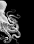 Picture of OCTOPUS BLACK AND WHITE B