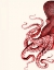 Picture of OCTOPUS RED AND WHITE A