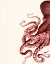 Picture of OCTOPUS CORAL AND CREAM A