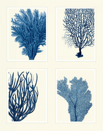 Picture of BLUE CORAL PRINT ON 4 PANELS