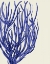 Picture of BLUE CORALS 2 C