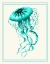 Picture of MIXED NAUTICAL TURQUOISE ON CREAM C
