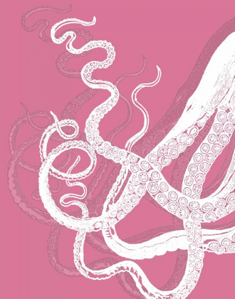Picture of OCTOPUS WHITE ON PINK B