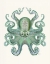 Picture of TURQUOISE OCTOPUS AND SQUID A