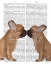 Picture of FRENCH KISS CLOSE UP