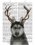 Picture of HUSKY AND ANTLERS