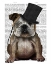 Picture of ENGLISH BULLDOG, FORMAL HOUND AND HAT