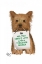 Picture of LOVE AND YORKSHIRE TERRIER