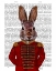 Picture of MILITARY RABBIT IN RED