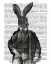 Picture of RABBIT VICTORIAN GENT