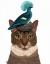 Picture of CAT WITH NEST AND BLUE BIRD