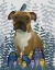 Picture of BOXER AND OWLS