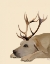 Picture of LABRADOR WITH ANTLERS
