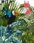 Picture of TOUCAN IN TROPICAL FOREST
