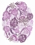 Picture of TROPICAL OVAL, PINK