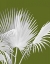 Picture of FAN PALM 1, WHITE ON GREEN