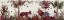 Picture of TROPICAL LIONS, RED