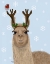 Picture of LLAMA, ANTLERS