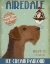 Picture of AIREDALE ICE CREAM