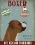 Picture of BOXER ICE CREAM