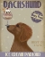 Picture of DACHSHUND, GOLD, ICE CREAM