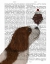 Picture of CAVALIER KING CHARLES, BROWN WHITE, ICE CREAM