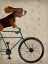 Picture of BASSET HOUND ON BICYCLE