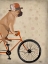 Picture of FRENCH BULLDOG ON BICYCLE