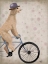 Picture of POODLE ON BICYCLE, CREAM