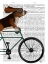 Picture of BASSET HOUND ON BICYCLE