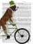 Picture of ST BERNARD ON BICYCLE