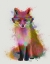 Picture of RAINBOW SPLASH FOX 2