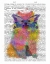 Picture of RAINBOW SPLASH POMERANIAN