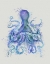 Picture of OCTOPUS RAINBOW SPLASH BLUE