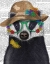 Picture of BADGER AND FLOWER GLASSES