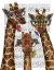 Picture of GIRAFFE AND FLOWER GLASSES, TRIO