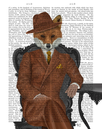 Picture of FOX 1930S GENTLEMAN