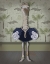 Picture of OSTRICH AND PEARLS, FULL